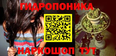 индика Кулебаки