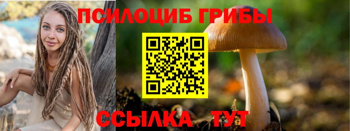 Галлюциногенные грибы MAGIC MUSHROOMS Верхняя Салда